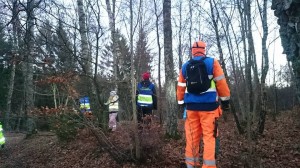 FRG - Staffanstorp tränar eftersök i skogen.  Fotograf: Ulla Jönsson